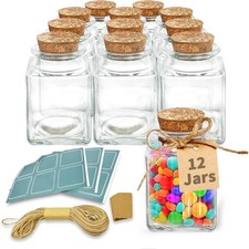 12 Pack Small Glass Jars With Lids, 3.4 oz Mini Bottles With Cork, Twine and