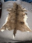 No Reserve WHITETAIL DEER HIDE, DEERSKIN  W/ HAIR CABIN RUG HOME DECOR 5 Ft Long — photo 1