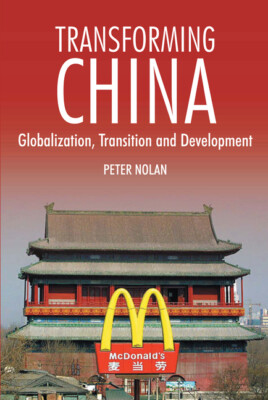 Transforming China: Globalization, Transition And Development