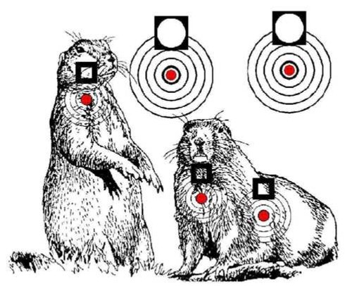 printable air rifle targets 750 designs on cd hunting print your own targets ebay