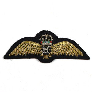 GBイギリス軍/英軍＊ＲＡＦ/空軍＊９Ｋ金製パイロットＷＩＮＧブローチ（実物） Raf Pilot Wings | eBay
