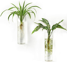Propagation Station Wall Planter Hanging Glass Tubes Flower Vase for Hydroponics