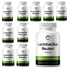 Lactobacillus Probiotic Supplement 240 Tablets 3 Billion CFU Free Delivery USA