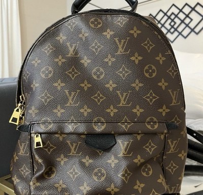 louis vuitton palm springs monogram MM  Backpack