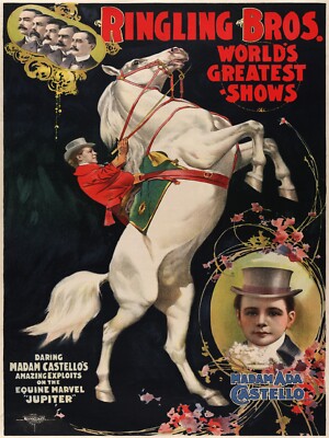 Ringling Bros Circus Amazing Equine Marvel Horse Poster Fridge Magnet 4x6
