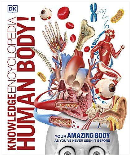 Knowledge Encyclopedia Human Body!-DK