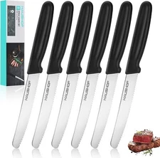 HAUSHOF Steak Knives Set of 6 Serrated Steak Knives Premium Stainless Steel New