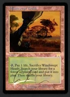 ***FOIL Windswept Heath Signed** MTG Onslaught Magic Anthony S Waters Kid Icarus