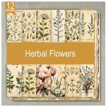 Herbal Flowers - Craft Paper-12 Sheets - 6"x6" -160gsm - Scrapbooking