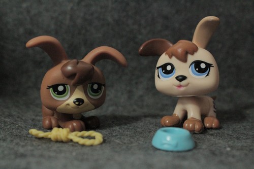 Lot Authentic Littlest PetShop Chiots Puppy dog #76 1052 1353