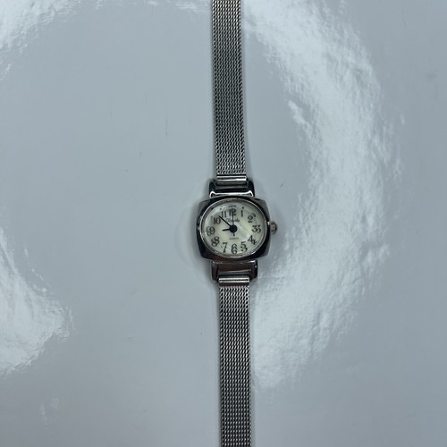 E Xanadu Silver Chain Mesh Mother Pearl Ladies Retro Japan Stainless Untested