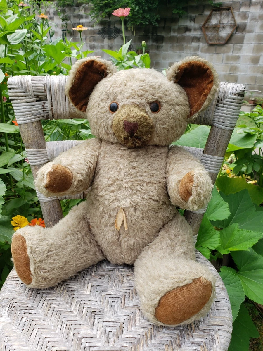 Knickerbocker Bear In Antique Teddy Bears for sale | eBay