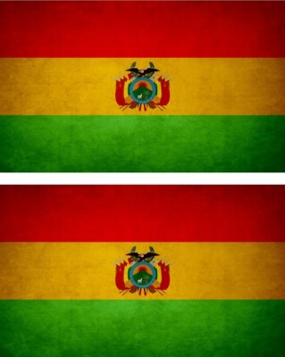 2x Sticker flag vinyl country vintage BOL bolivia