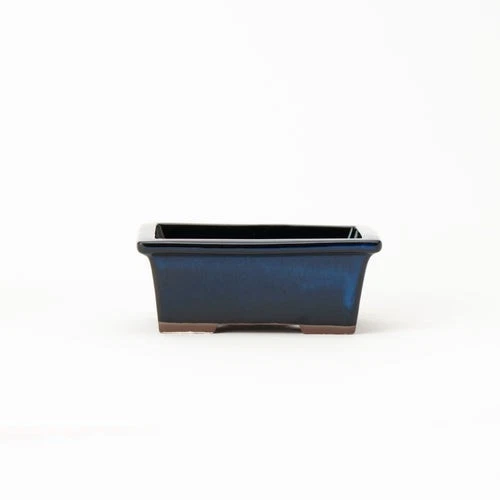 NAGINOWA Namako Longhorn 5.3″ 13.4cm Banko Ware Bonsai Pot Handcraft  From Japan - Image 2 of 4