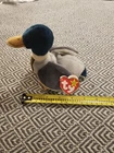 Vintage Ty Beanie Baby Jake The Mallard Drake Duck, 1997 1998 Rare Error Tag NWT