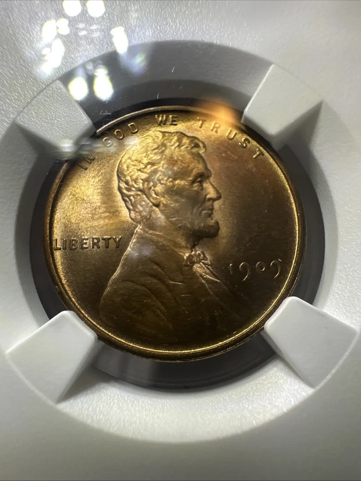 1909 VDB MS65 Lincoln Cent Wheat Penny, RED, NGC Mint State 65 RD ** Gorgeous! - Image 4 of 4
