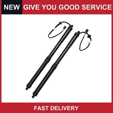 Pack of 2 For Hyundai Santa Fe 15-18 Rear Left Right Tailgate Power Lift Support