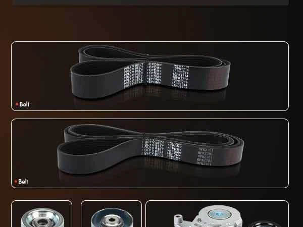 4x Kit de componentes de transmisión por correa Serpentine para Western Star 4900FA 2013-2018 4900EX Foto 4 de 4