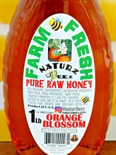 RAW ORANGE BLOSSOM HONEY 1LB 100 PURE LOCAL FL/GA/TN/AL