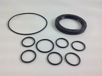 NEWGARDENSTORE Kit UNIVERSALE pompa Bertolini PA 330 430 006519