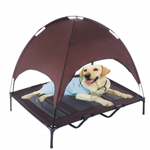 raised cot dog bed
