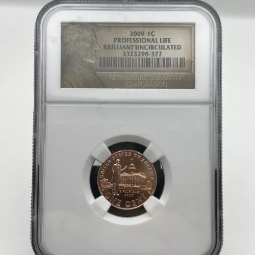 NGC 2009 D 1C Professional Life Penny, Brilliant Uncirculated 