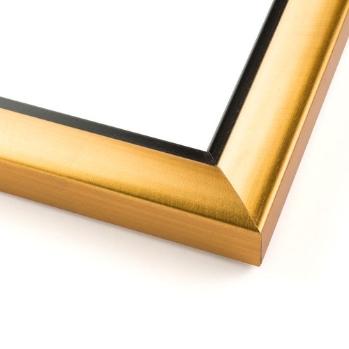 7x14 Gold mit schwarzer Lippe Holzrahmen UV Acryl und säurefreie Schaumstoffplatte - Bild 1 von 5
