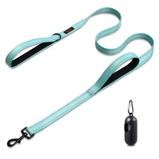 5FT Heavy Duty Dog Leash, Double Handle, Lake Blue, Reflective Training Lead