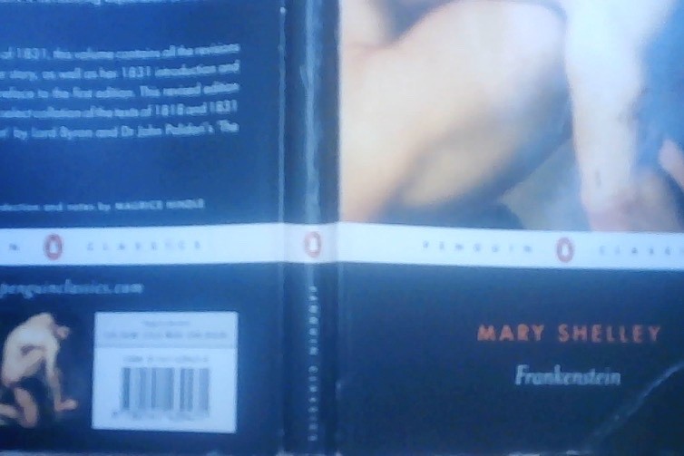 Frankenstein by Mary Shelley (2003, Trade Paperback)
