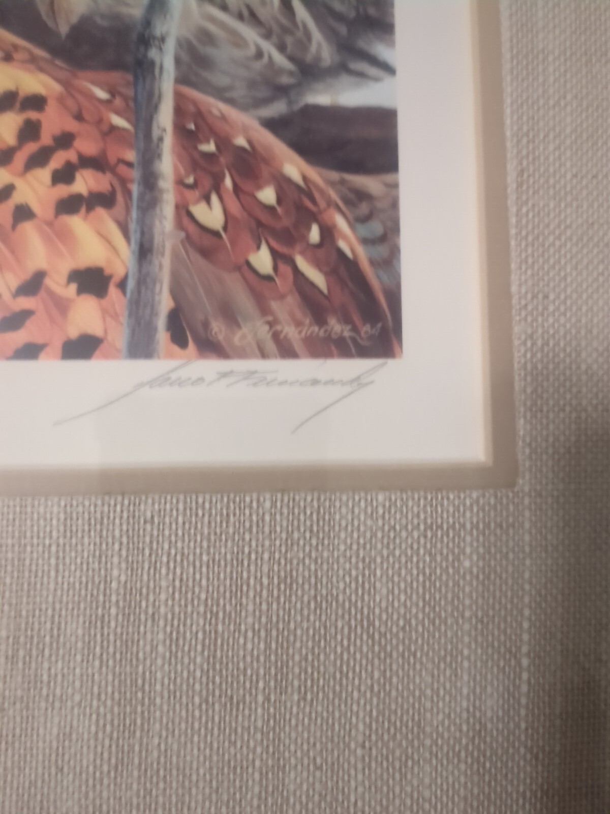 Picture 3 of 14
