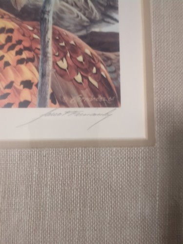 1084Minnesota pheasant signed And print and stamp Daniel Smith - Picture 3 of 14