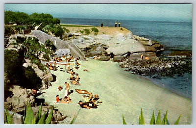 c1960s La Jolla San Diego CA Beach Marine Gardens Postcard