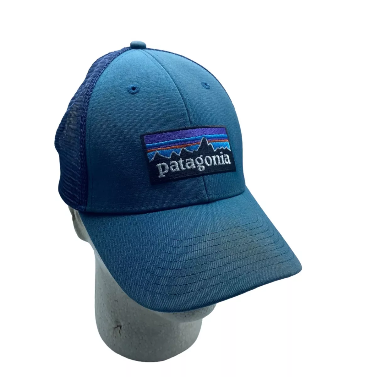 Patagonia logo cheap cap