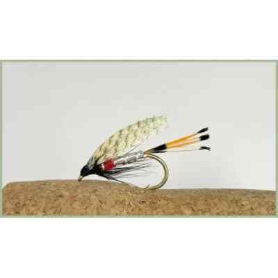 Iseo, Pescata Una Super Trota Da 11 Chili - Foto 8