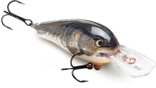 Rapala FR05 Fat Rap Pick Colors & Quantity NIP