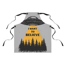 I want to believe Apron UFO