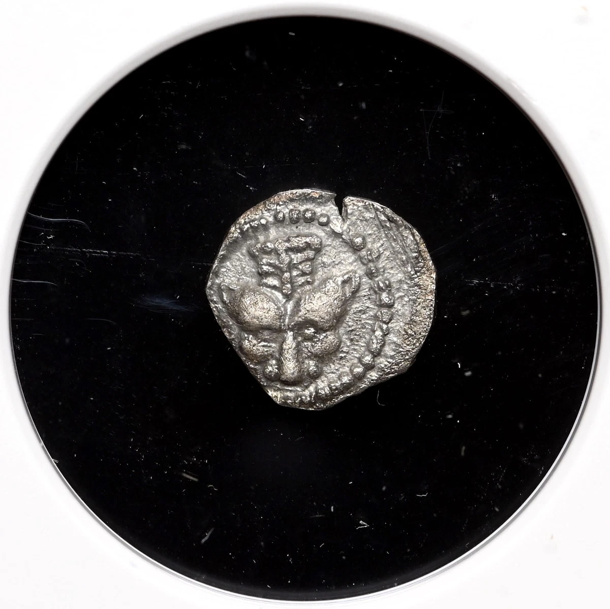 Obol NGC Certified Greek Coins (450 BC-100 AD) for sale | eBay