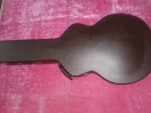 Canadian Made ES 330 ES 335 ES 345 Gibson Lucille, Casino Case NEW  $99.90