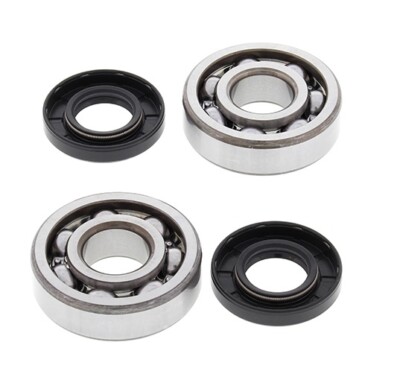 All Balls Crankshaft bearings / Kurbelwellenlager Suzuki RM100 RM60 RM65 (2003)