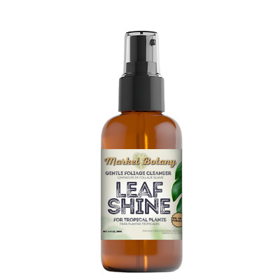 Market Botany Leaf Shine - Gentle Foliage Cleanser and Leaf Shine - 4 FL OZ