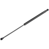 NTY Gasfeder Heckklappe Passend FüR Renault Laguna III BT0/1 2.0 16V