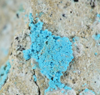 Descrespignyite (Y) Paratoo, nr Yunta South Australia Australia (EA10081)