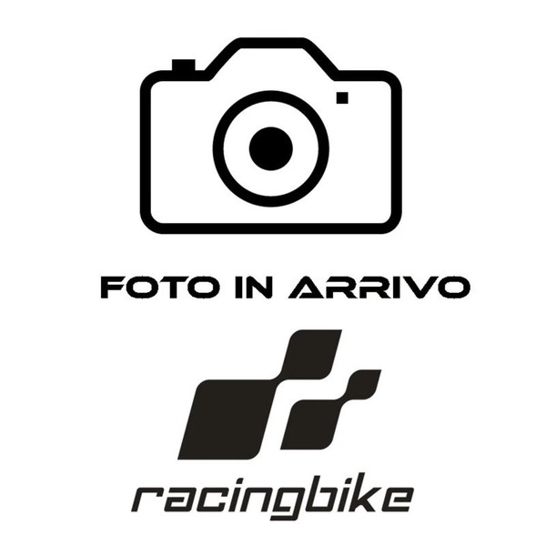 Puig Seitenspoiler Downforce Sport BMW S1000 RR 15-16 Rot-image