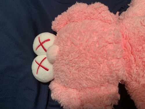 kaws bff plush pink