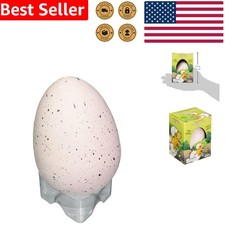 Exciting Dinosaur Egg Growth Toy - Perfect for Young Paleontologists 