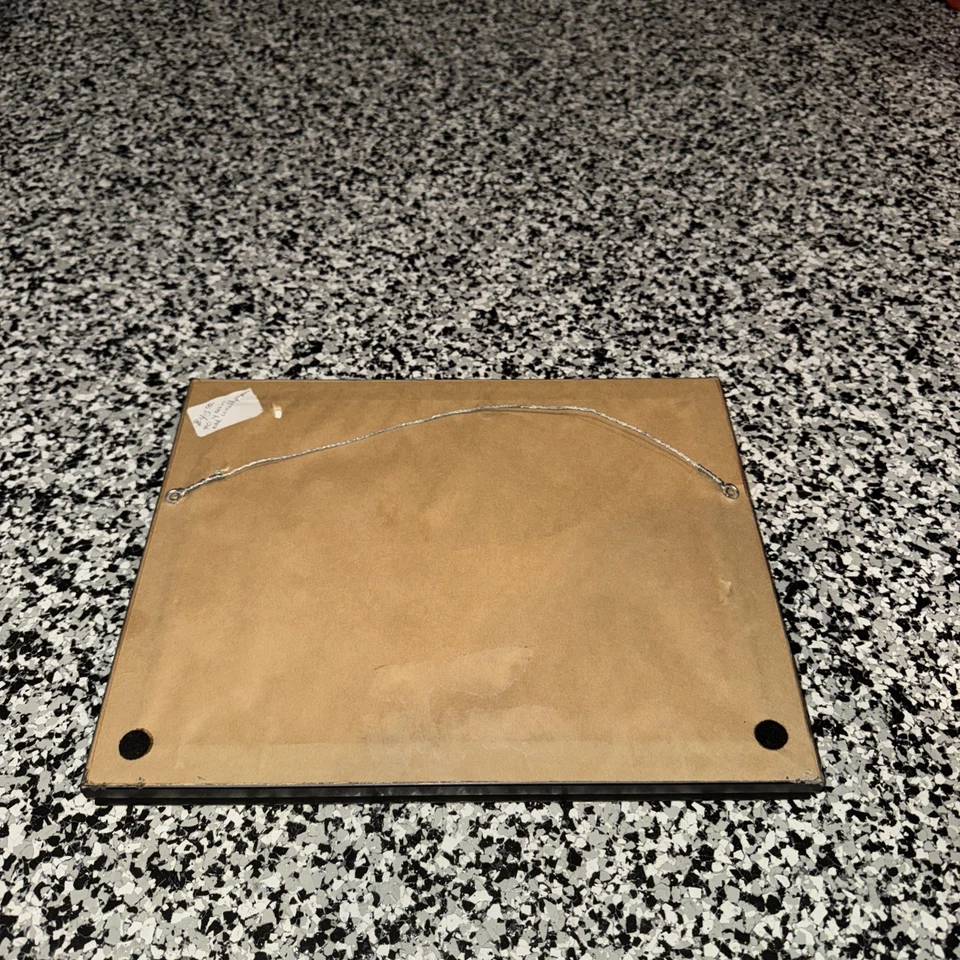 Tennessee Volunteers College Wall Border TN VOLS Enmarcado 40 Años Arte (18) Foto 3 de 3