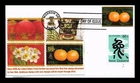 US COVER LUNAR NEW YEAR FIRST DAY ISSUE NEW ZEALAND COMBO