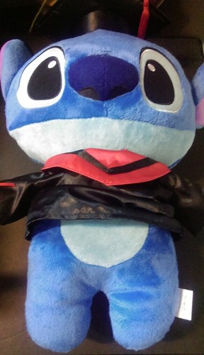 17" Disney Characters Graduation Plush Figure Grad Gift Stuffed Animal Doll Toy - Picture 5 of 12