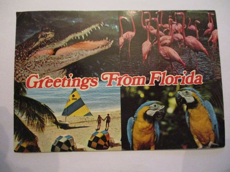 February 22, 1980 Postcard - "Greetings from Florida".