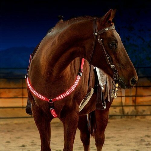 LED Horse Collar Head Breastplate Harness Neon Lights For Horseback Riding Belt - Picture 9 of 10